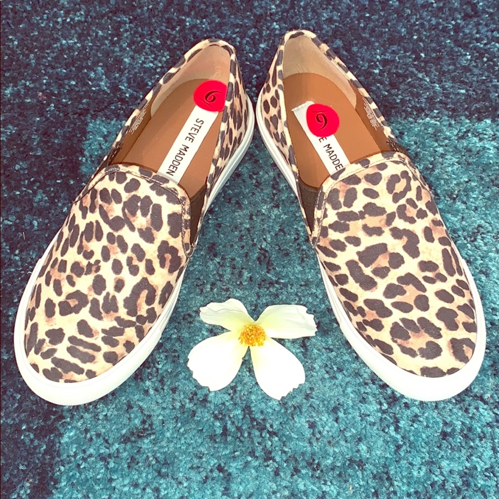 Steve Madden Sneakers